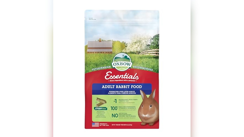 Rabbits Food Review 2026 Best Nutrition and Buying Guide