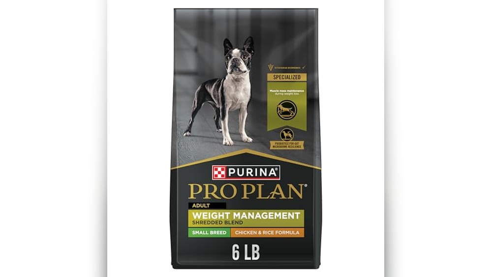 Small Breed Dog Food With High Calorie for Energy Boost 2026 Guide