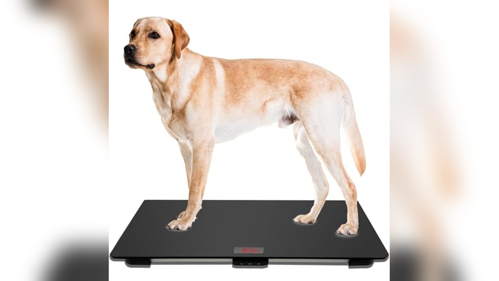 MINDPET-MED Large Dog Scale Review: Accurate & Reliable
