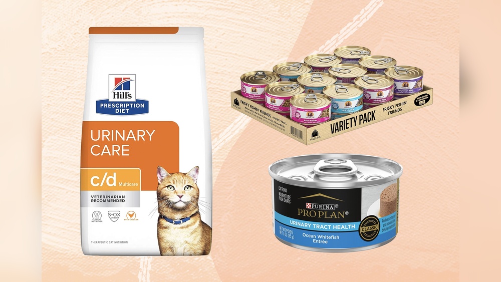 Cat Food for Urinary Tract Health Budget Option: Top Picks