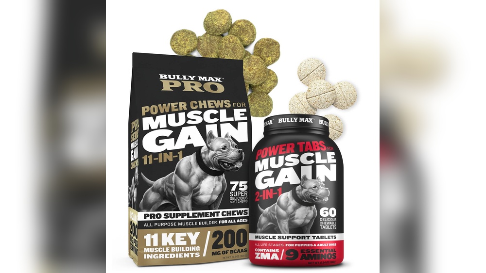 Dog Food for Pitbull Muscle Gain: Natural Diet Tips That Work