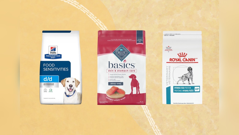 Grain Free Dog Food for Dogs With Allergies And Itching: Top Picks